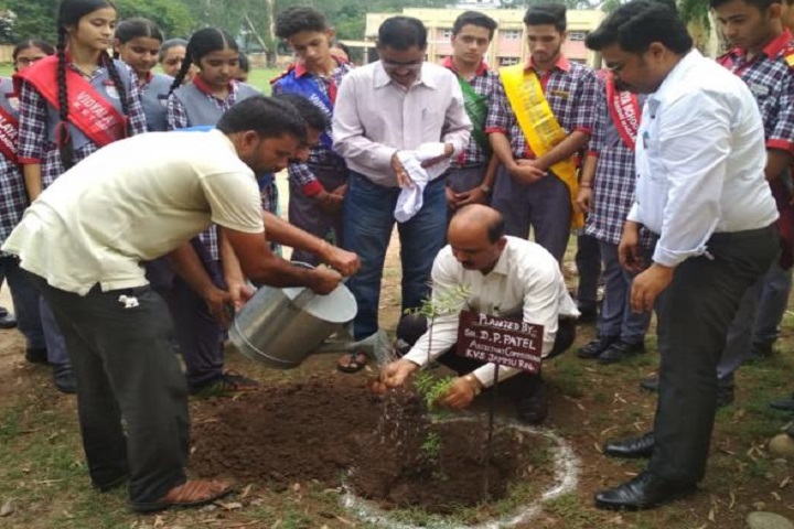 Kendriya Vidyalaya No 1-Plantation