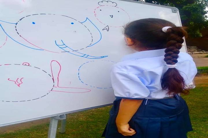 Springdales School-Drawing