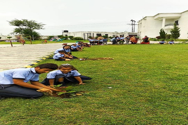 The Pathways International School-Others plantation