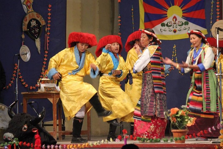 The Tibetan Sos Childrens Village School-Events dance