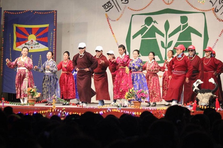 The Tibetan Sos Childrens Village School-Others programme