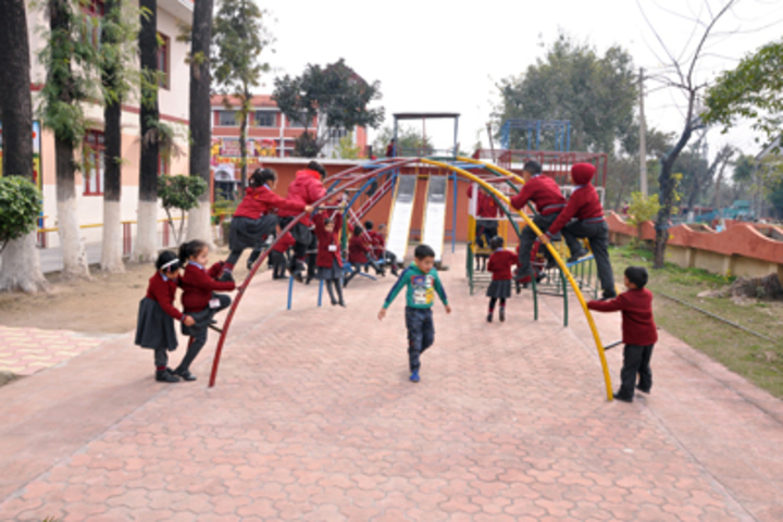 Vishwa Bharati Public Higher Secondary School-Kids Playground