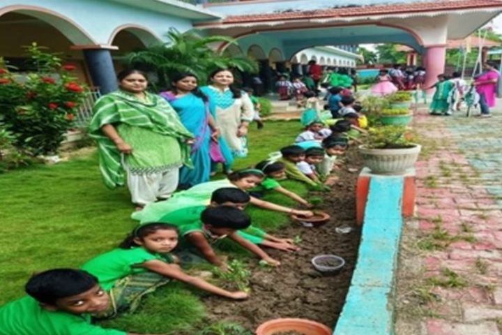 Bokaro Public Vidyalaya-Tree Plant
