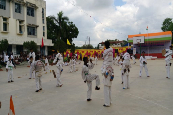 D A V Public School-Karate
