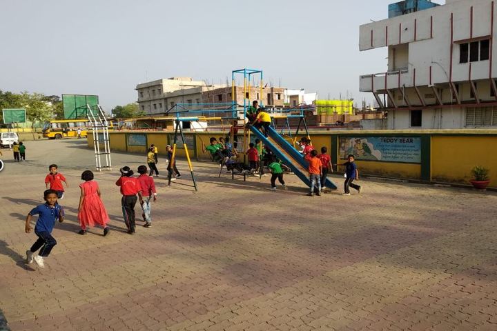 Delhi Public School-Play-Ground