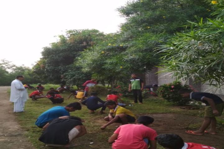 Jawahar Navodaya Vidyalaya-World Environment Day