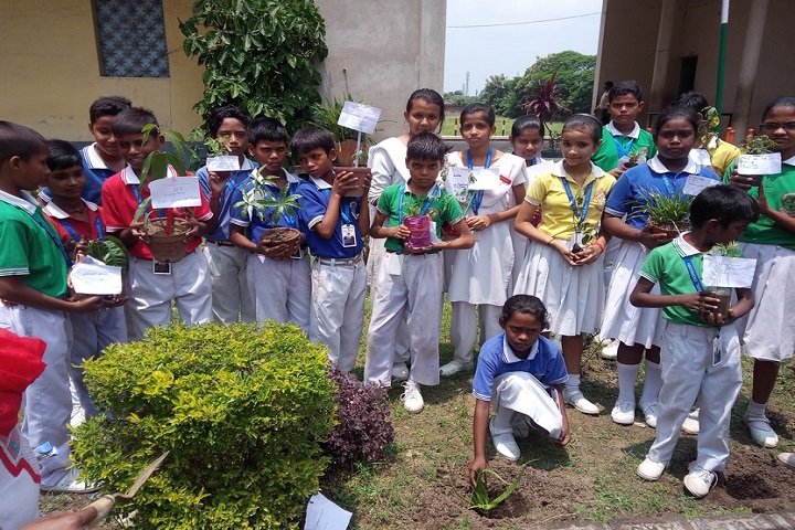 Jawaharlal Nehru Memorial School-Plantations