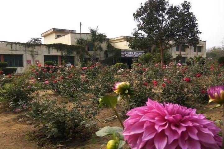 Kendriya Vidyalaya No 3-Garden
