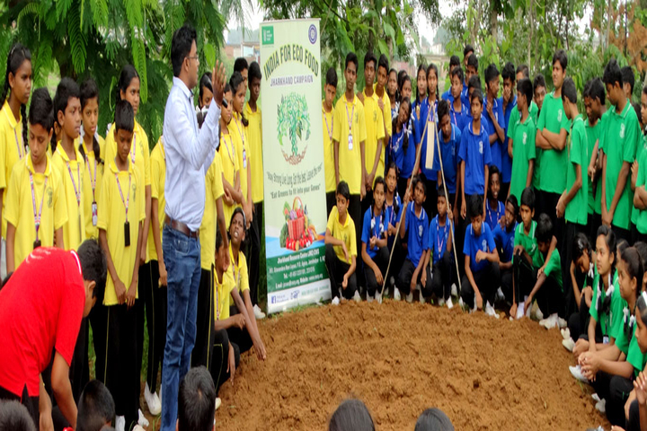 Montfort School-Activity