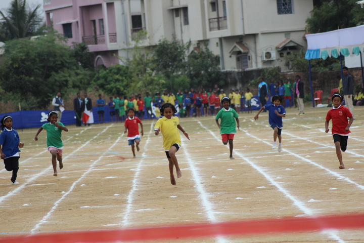 Montfort School-Sports