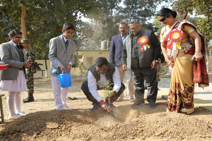 Sarala Birla Public School-Tree Plantation