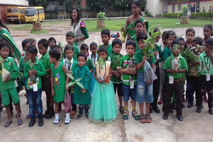 Shradhanand Bal Mandir Senior Secondary School-Plantation