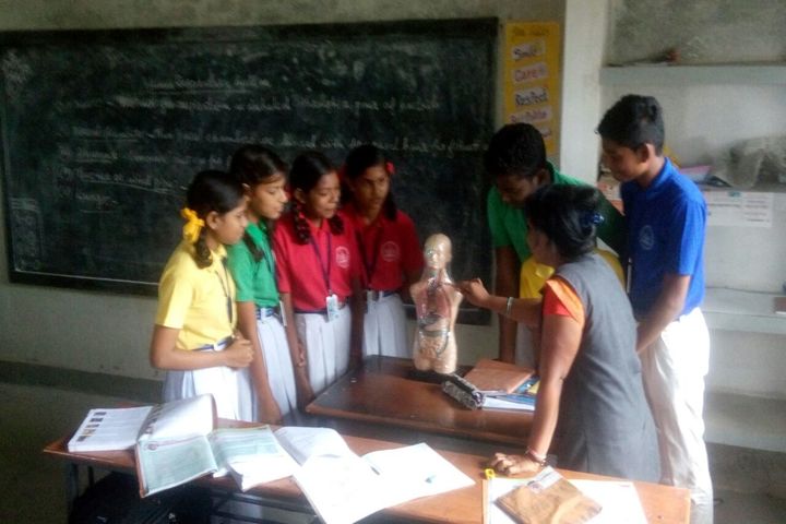 St Aloysius English Medium School-Biology Lab