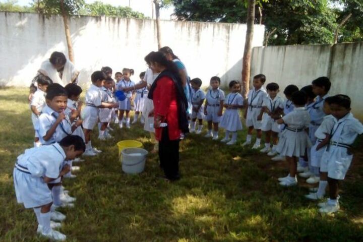 Symbiosis Public School-Plant