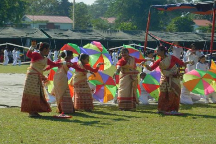 Army Public School-Events dance