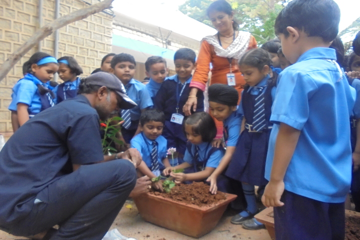 Air Force School-Plantation