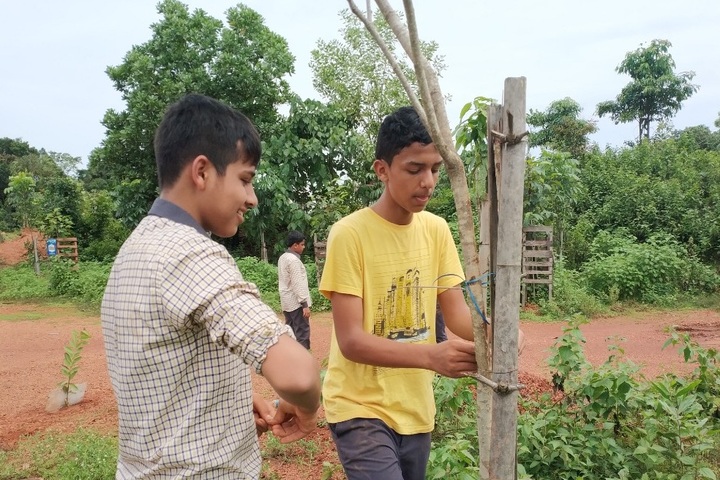 Al Furqan Islamic English Medium School-Plantation
