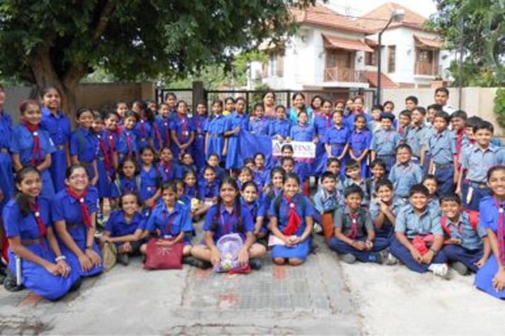Alpine Public School-Scouts and Guides