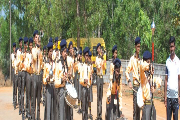 Anandathirtha Vidyalaya-March Past