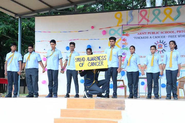 Army Public School-Activity