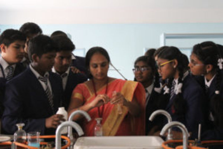 Assisi School-Lab
