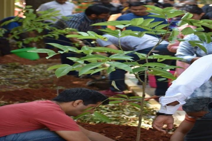 Auro Mirra International School-Plantation