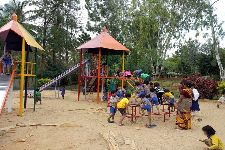 B R V Public School-Playarea
