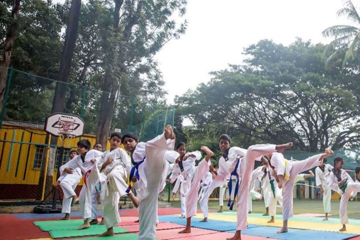 Orchid The International School-Karate