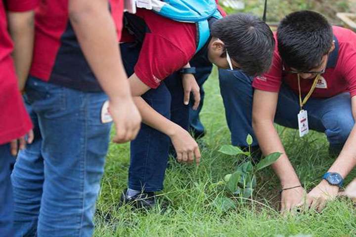 Orchid The International School-Tree Plantation