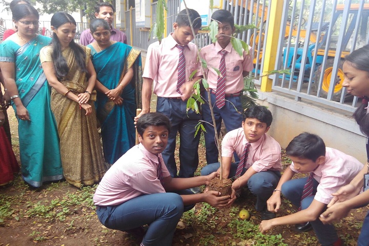 Bhavan Bangalore Press School-Plantation