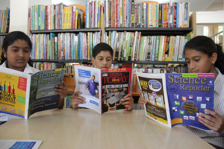 Brooklyn National Public School-Library