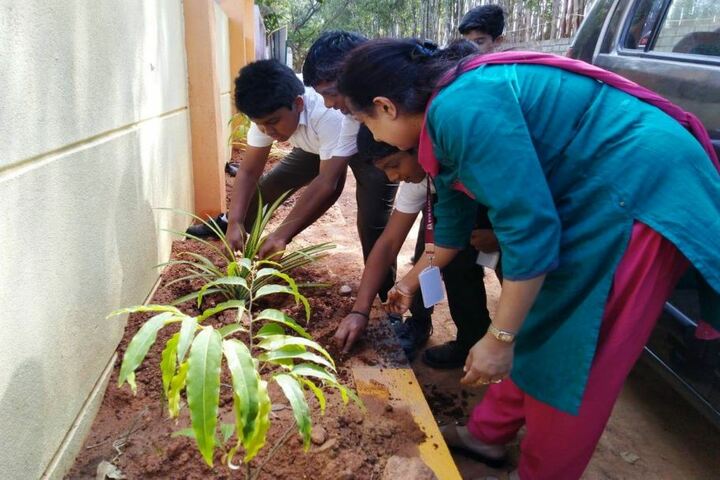 Bvm Global School-Environment Day