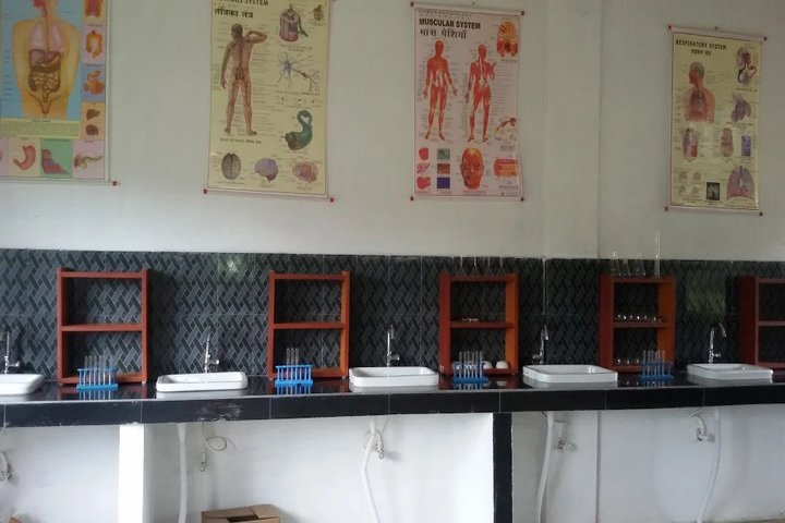 B B Memorial Public School - science lab
