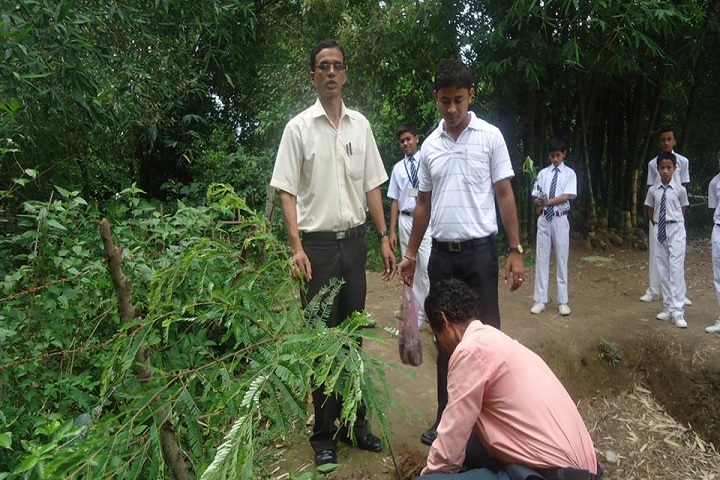 Biswanath Jnan Bharati School-Tree Plantation