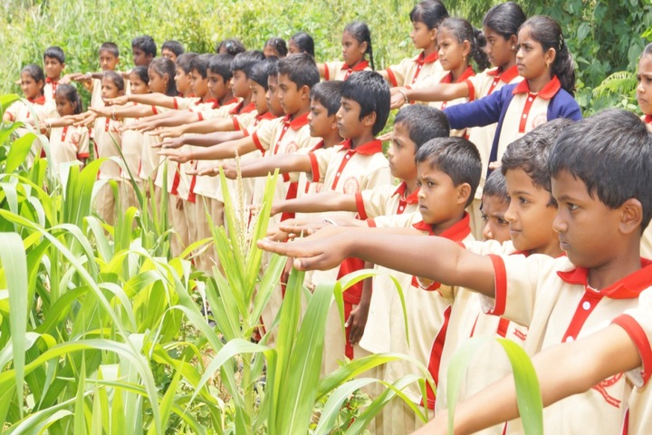 Christa Jyothi School-Earth Day