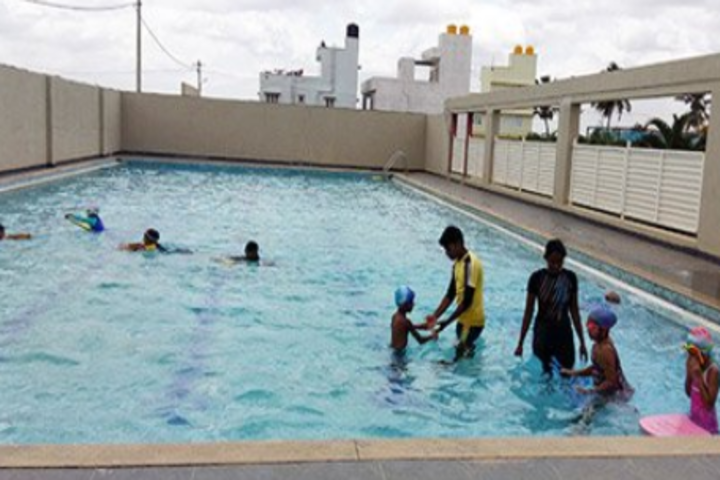 Chrysalis High-Swimming Pool