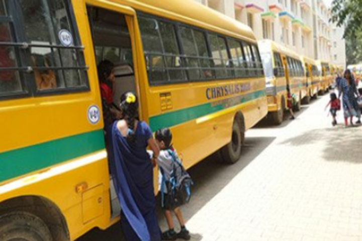 Chrysalis High-Transport