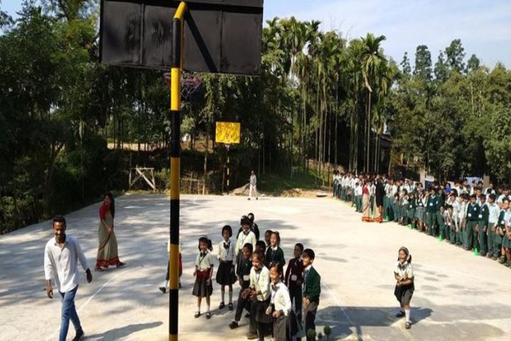 Blue Bird School-Play Ground