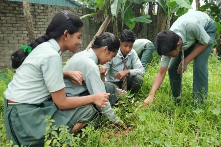Blue Bird School-Tree Plantation