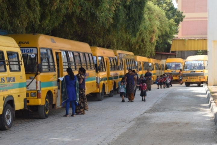 Chrysalis High-Transport