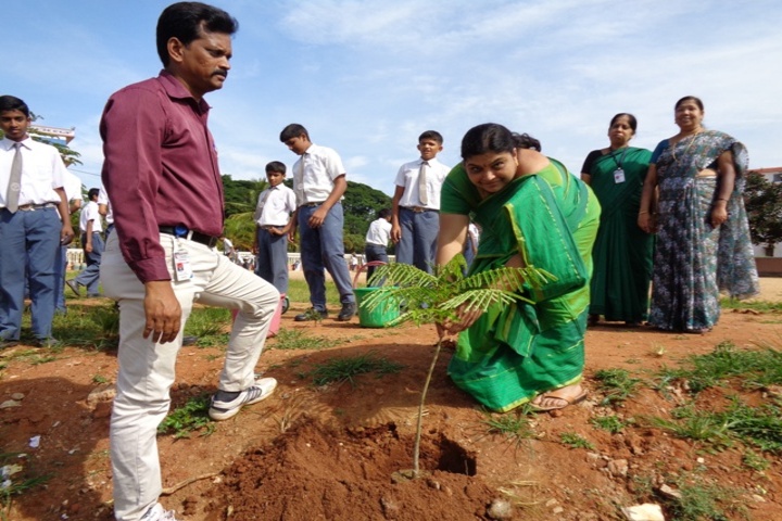 CKS English School-Environment Day