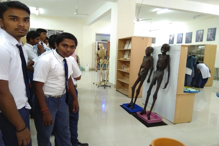 CKS English School-Hims Visiting