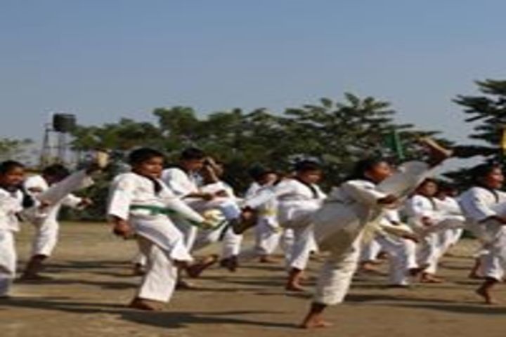 Brahmaputra Valley English Academy - karate