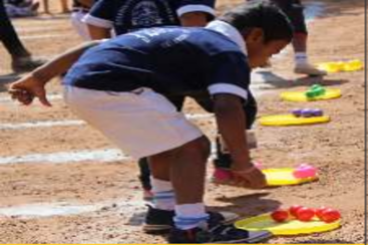 Dolphins Public School-Activity