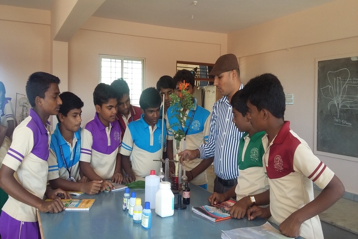 Dolphins Public School-Chemistry Lab