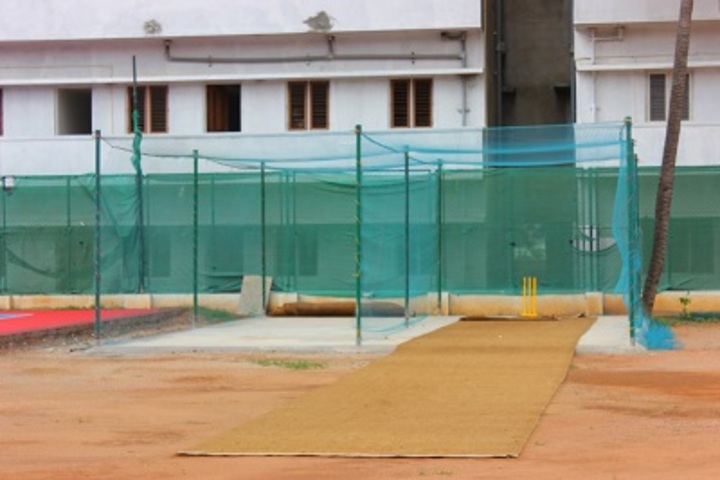 Global City International School-Cricket Practice