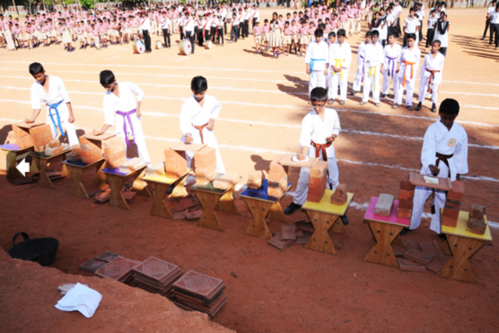 Gurukul Public School-Karate