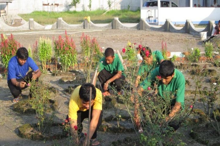 De pauls public school - gardening