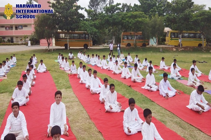 Harward International School-Yoga