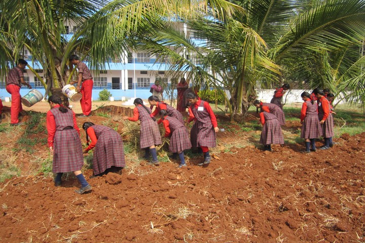 Holy Shephard Higher Primary School-Plantation